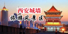 骚逼老师操逼浪叫视中国陕西-西安城墙旅游风景区